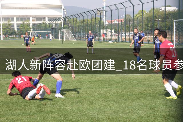湖人新阵容赴欧团建 18名球员参与团队活动