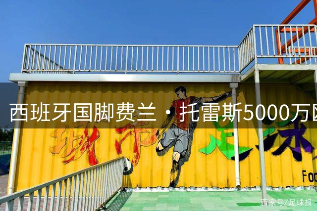 西班牙国脚费兰·托雷斯5000万欧元转投PSG